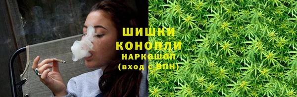 молекула духа Зеленодольск
