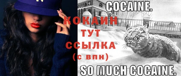 молекула духа Зеленодольск